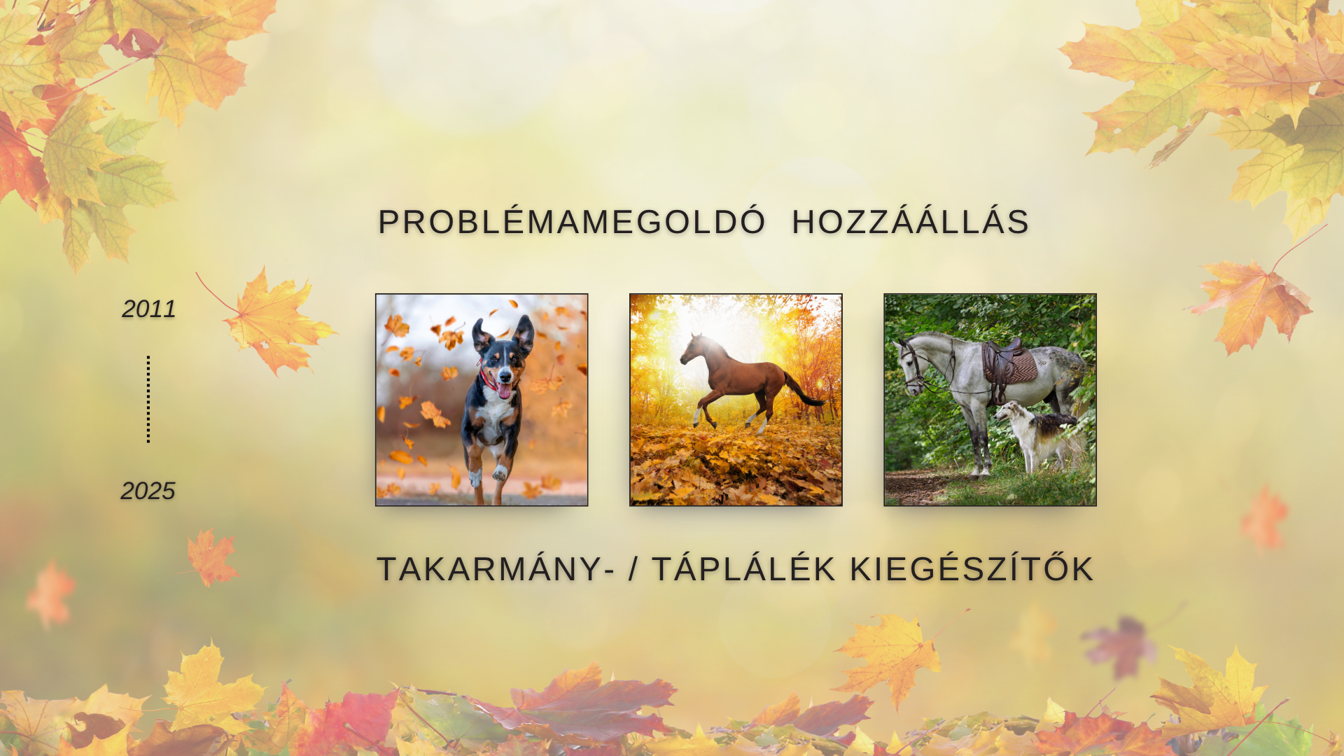 Quebeck táplálékkiegészítők