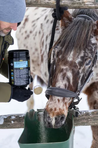 EQUIRESP – Respiratory Support Supplement for Horses, 1000 g
