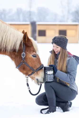 EQUI-JOINT – komplex ízületi komfort támogatás, 800 gramm - lovaknak