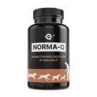 NORMA-Q probiotikumos bélflóra támogató por, 50g - kutyáknak