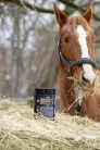 HERBABIOM® – bélflóra támogató, 800 gramm - lovaknak