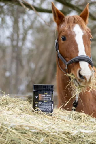 HERBABIOM® – bélflóra támogató, 800 gramm - lovaknak