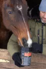 AMINO-PRO – izomkondició támogatás, 800 gramm - lovaknak