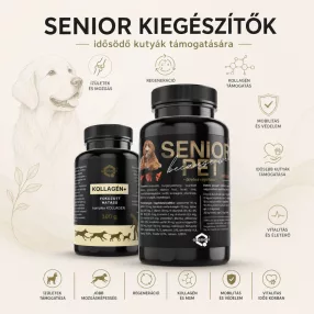 Senior kiegészítők