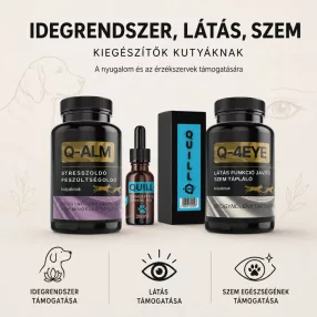 Idegrendszer, látás és szem