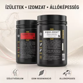 Ízületek, izomzat, állóképesség