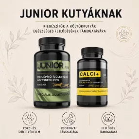 Junior kiegészítők