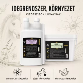 Idegrendszer, környezet
