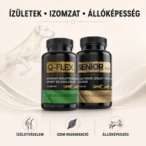 Ízületek, izomzat, állóképesség