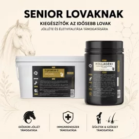 SENIOR lovaknak
