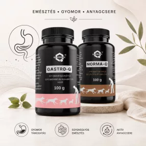 Emésztés, gyomor, anyagcsere