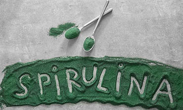 A spirulina igazi szuperélelmiszer a kutyák számára is